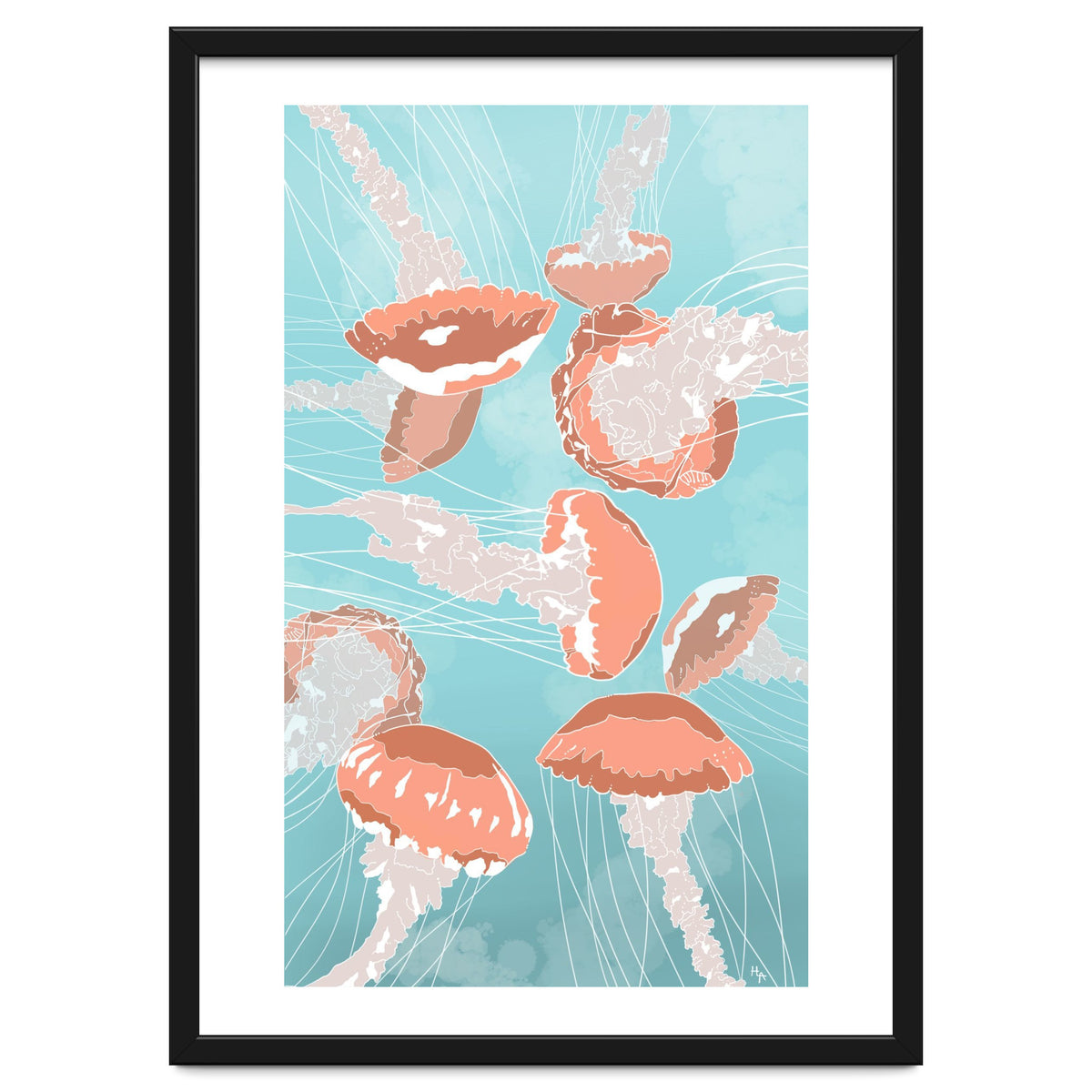 Jellyfish