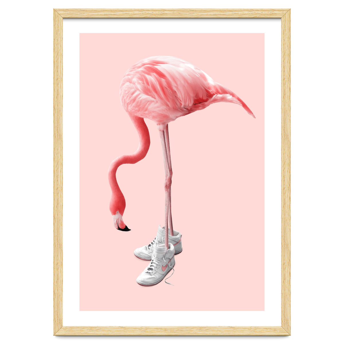 Sneaker Flamingo