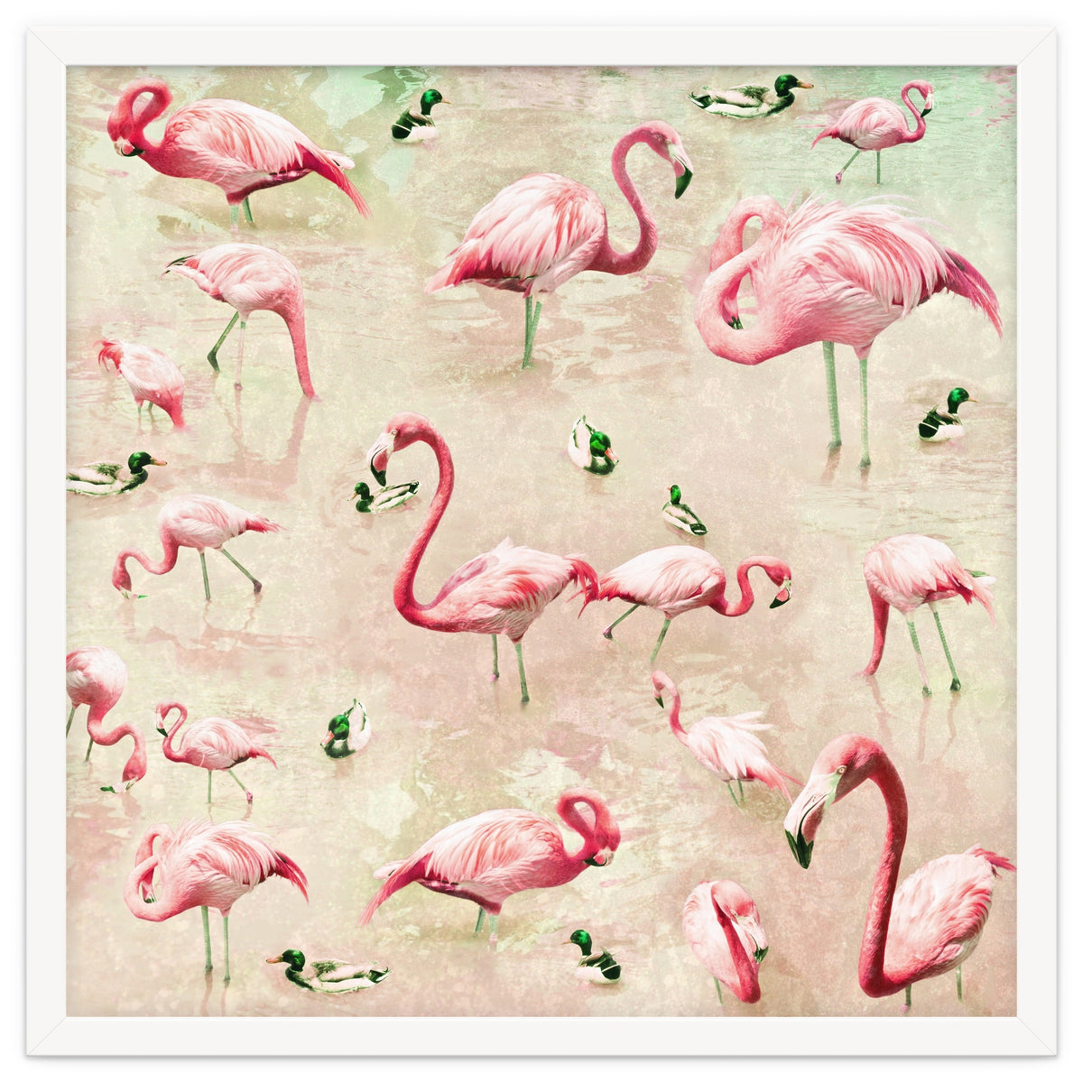 Flamingos Vintage Pink
