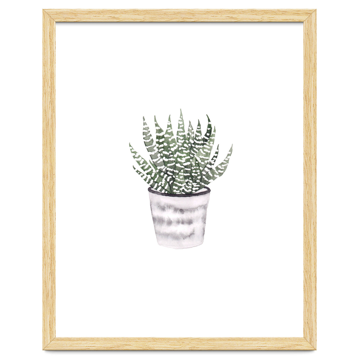 Potted Plant