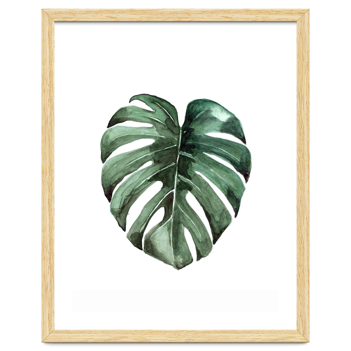 Botanical Illustration Monstera Deliciosa