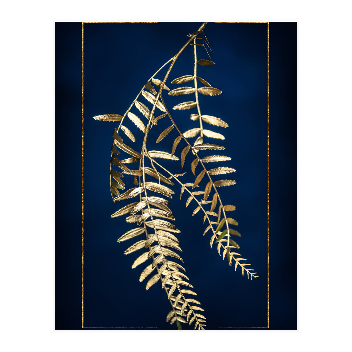 Golden Pepper Tree (Print Only)