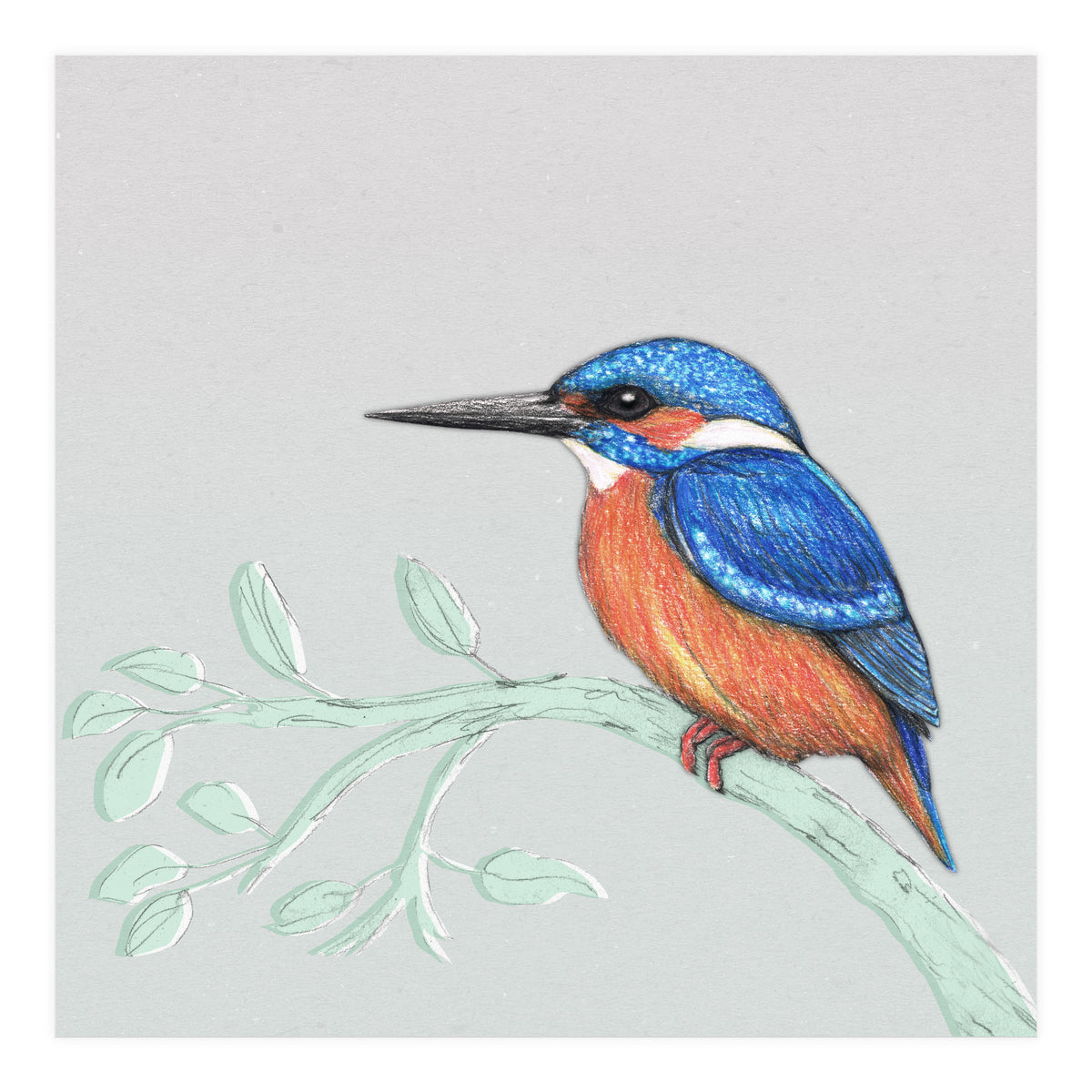 The kingfisher (Print Only)