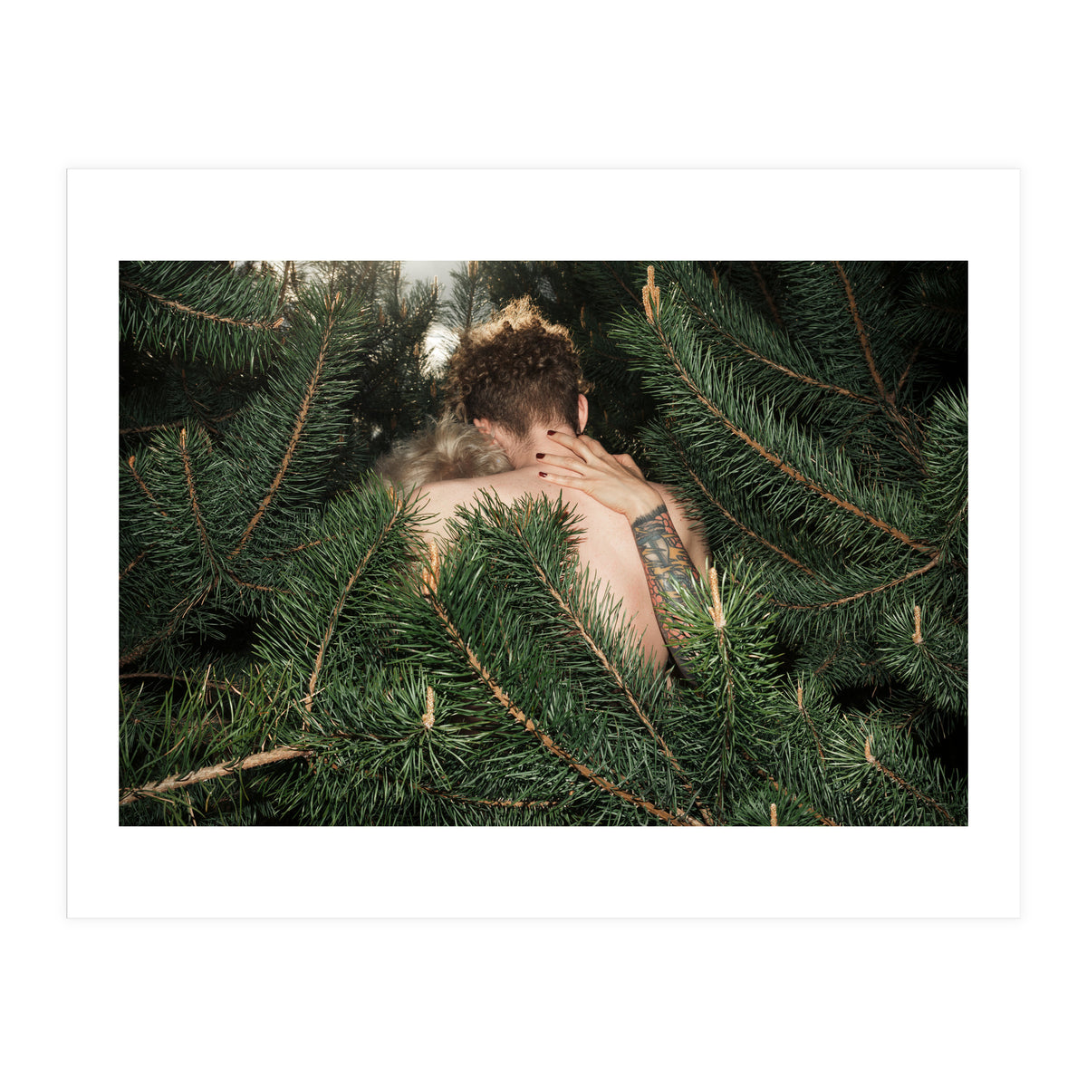 Born Free (Print Only)