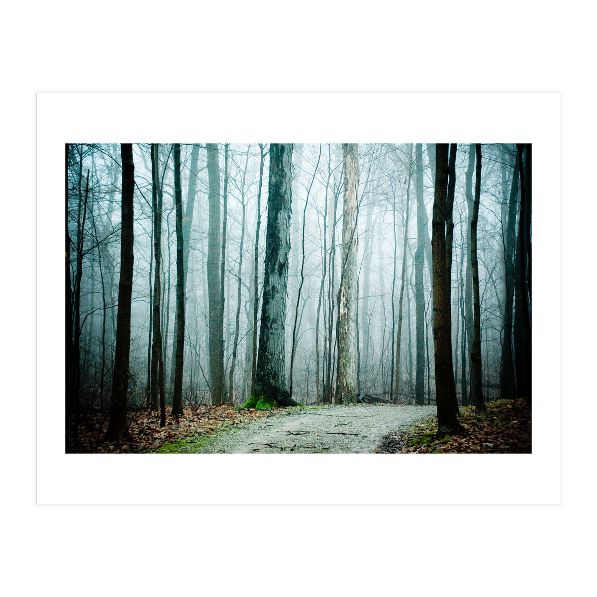 Gather Up Your Dreams (Print Only)