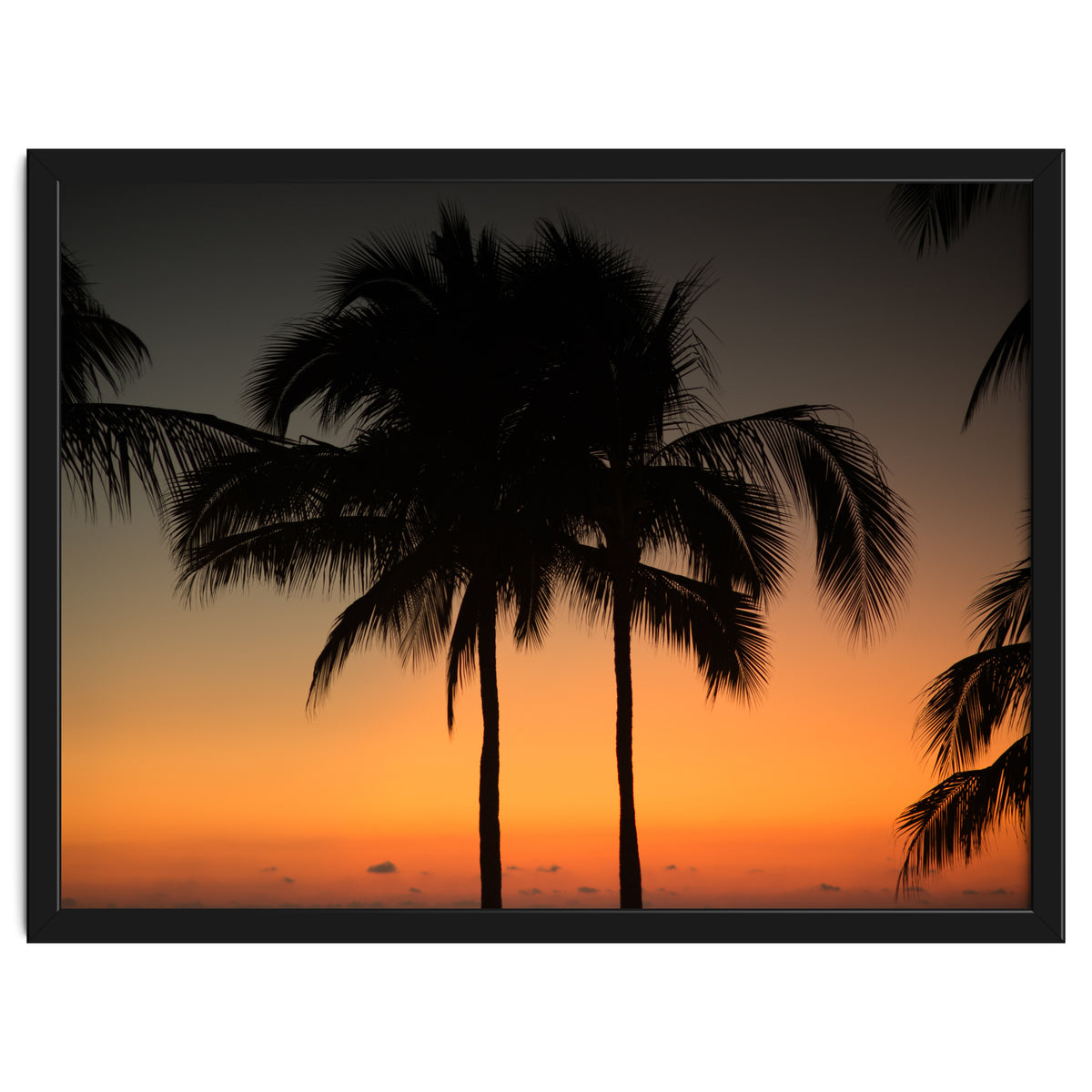 Mexico, November nights