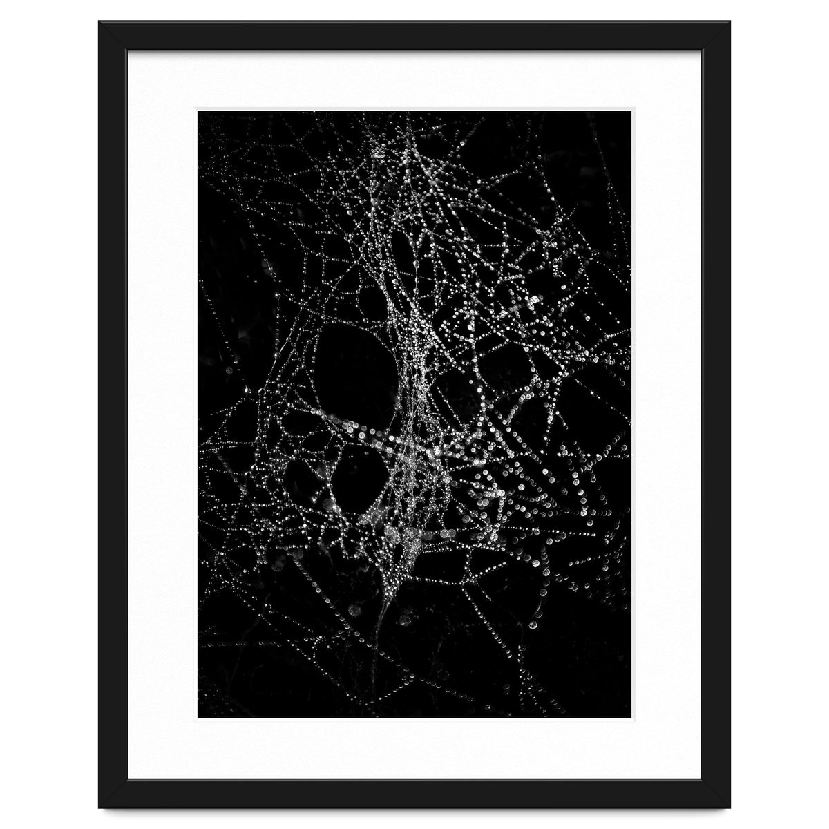 Spiderweb No 4
