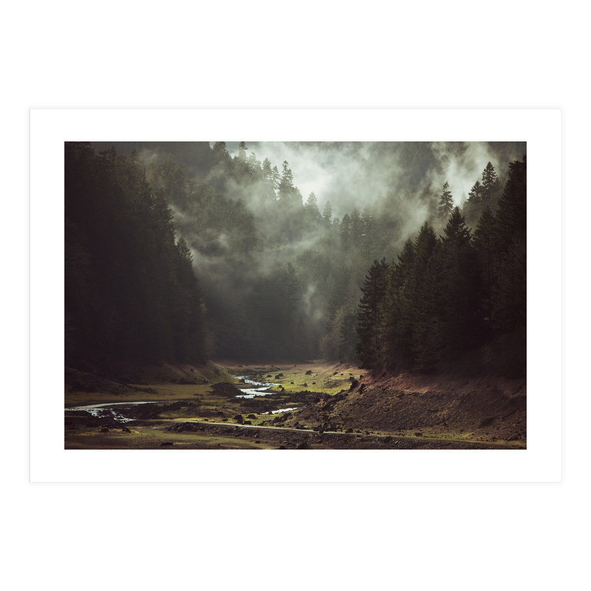 Foggy Forest Creek (Print Only)