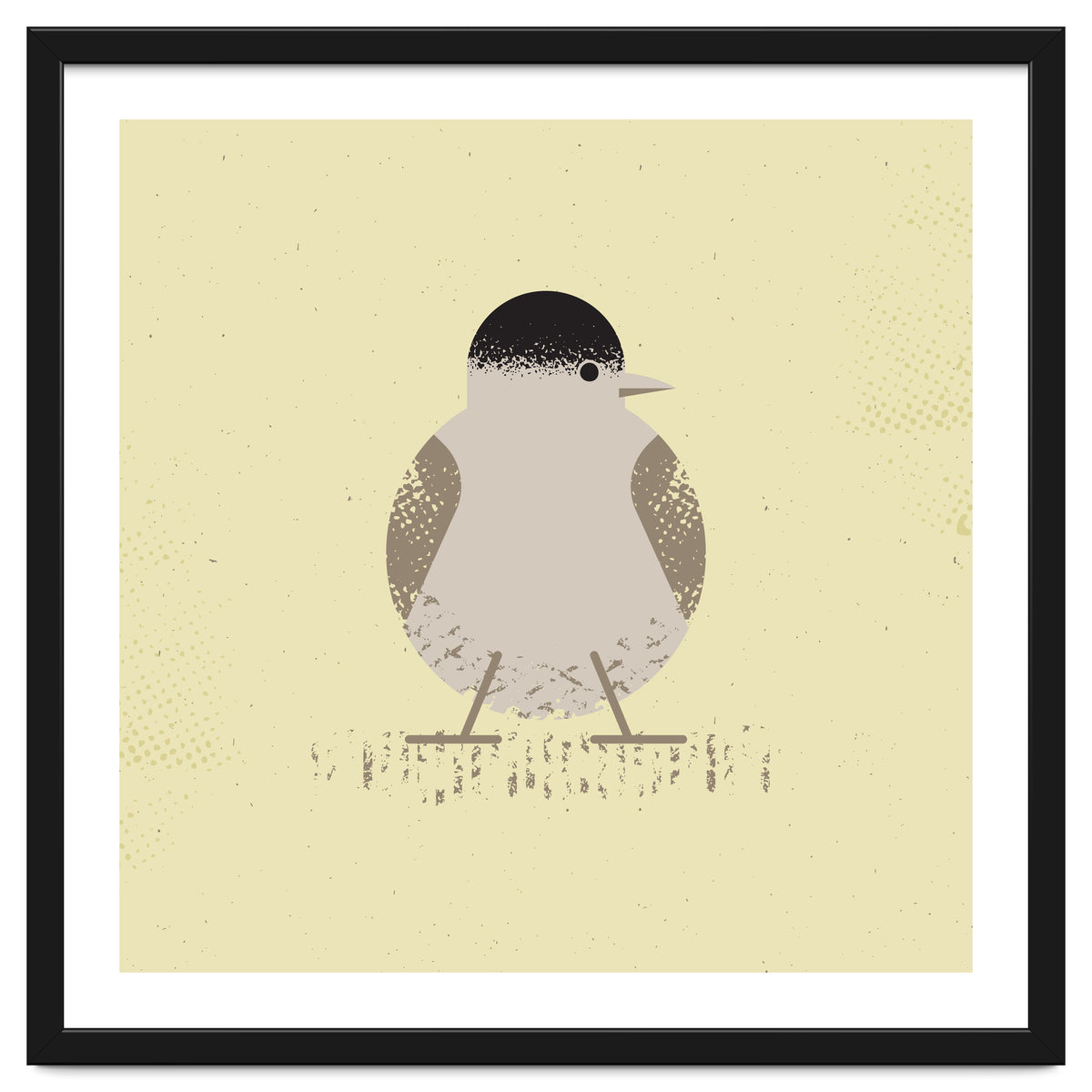 Blackcap 2