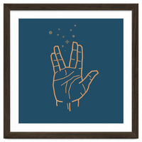 Vulcan Salute