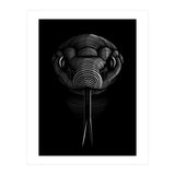 Snake lines (Print Only) thumbnail
