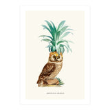 Pineapple Owl Vintage (Print Only) thumbnail