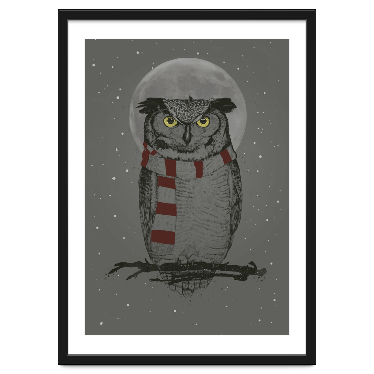 Winter Owl