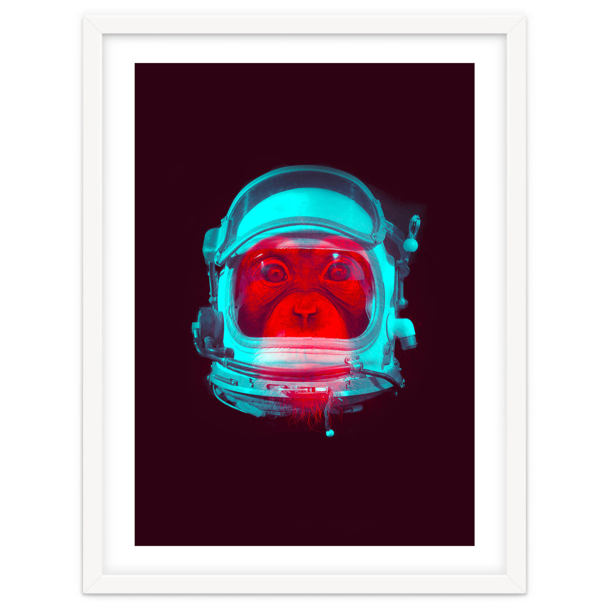 Astronaut