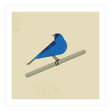 Indigo Bunting  (Print Only) thumbnail