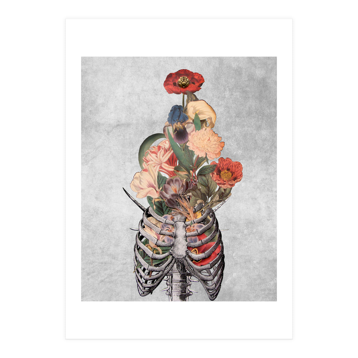 arte vittoriana (Print Only)