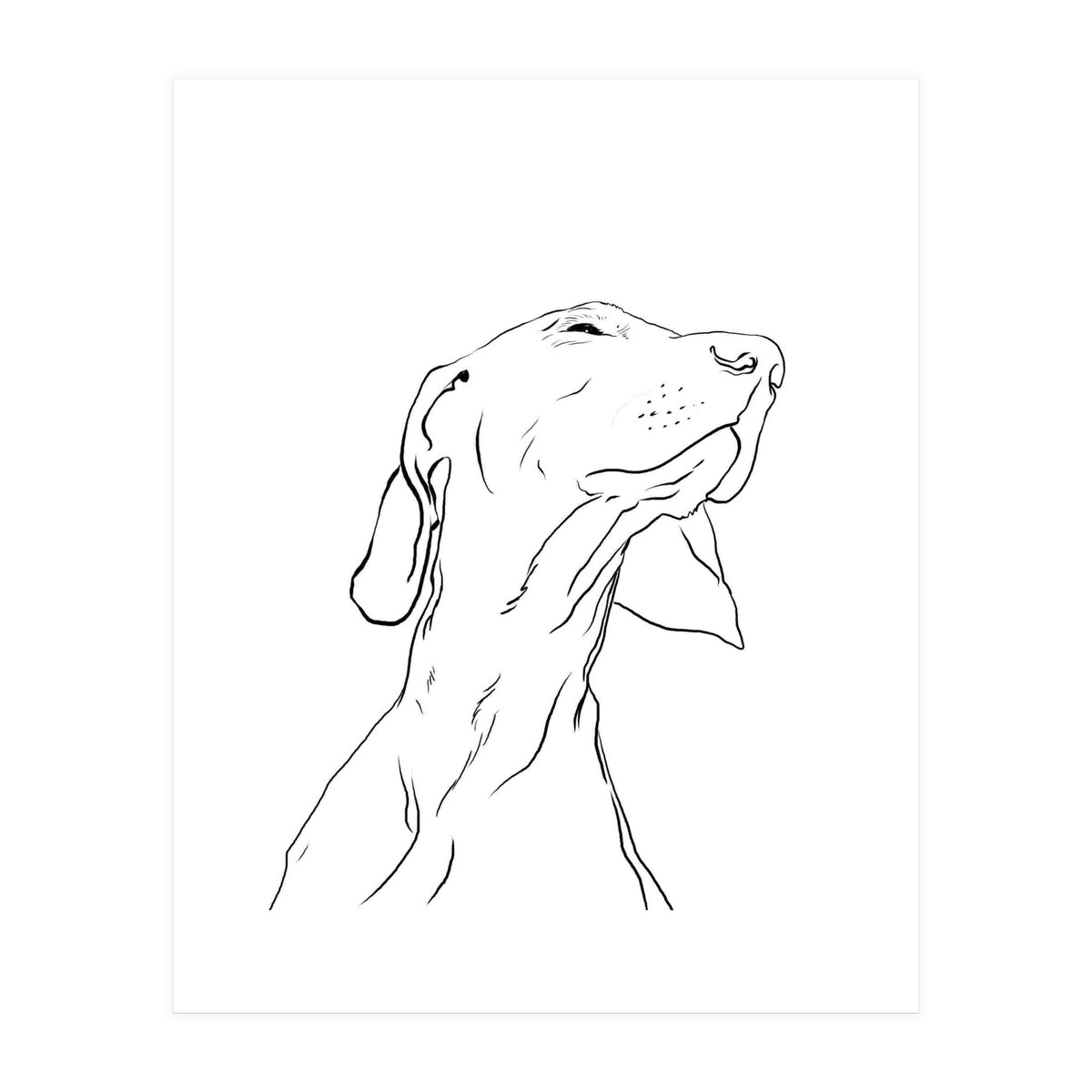Smell  (Print Only)