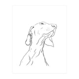 Smell  (Print Only) thumbnail
