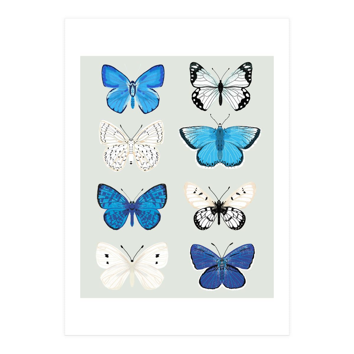 Lepidoptery Study No. 3 (Print Only)