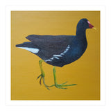 Moorhen (Print Only) thumbnail