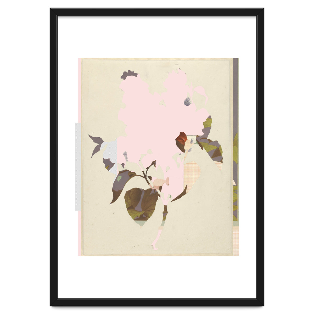 The First Plant · G