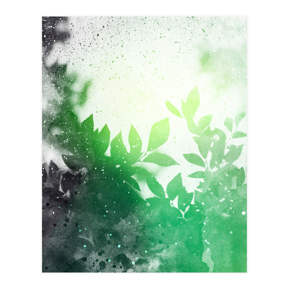 Leaves #3 (Print Only)