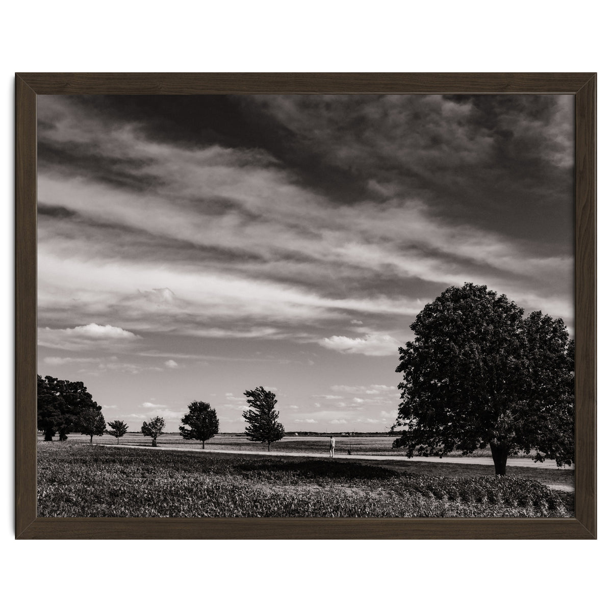 Country Road, Illinois