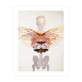 Ikarus - Like a Moth to the Flame (Print Only) thumbnail