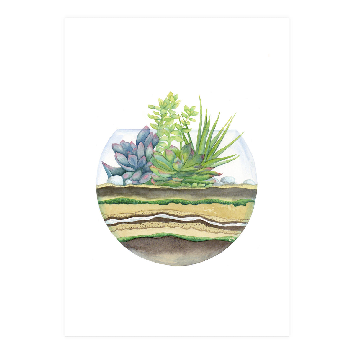 A Little Green Terrarium (Print Only)