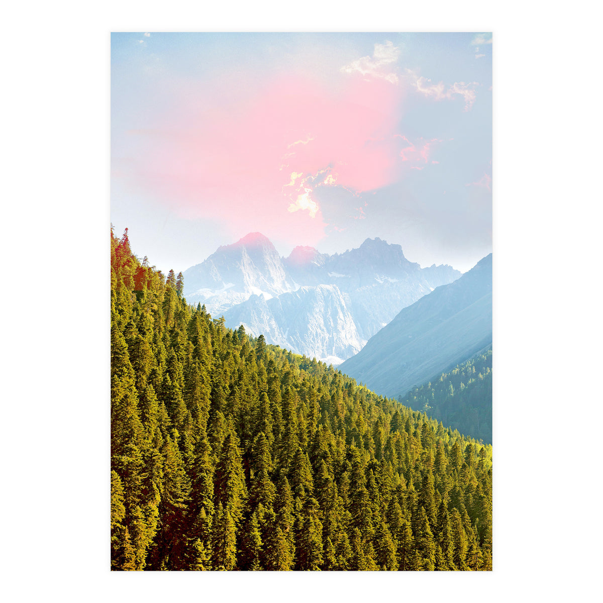 Evergreen (Print Only)