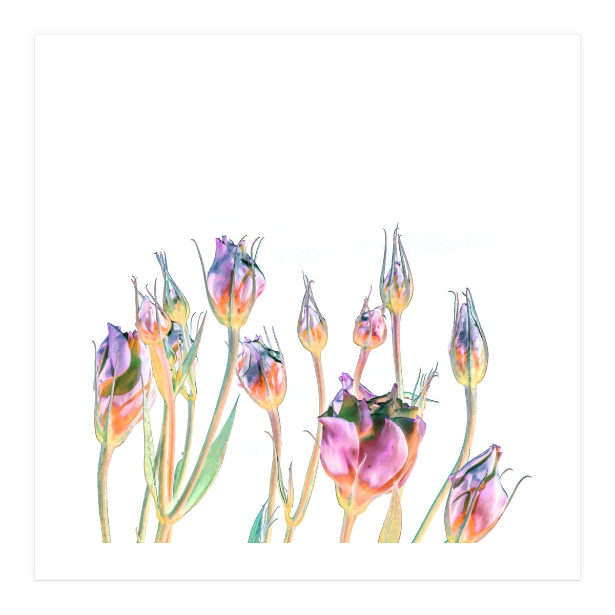 Floral Fantasy V3 (Print Only)