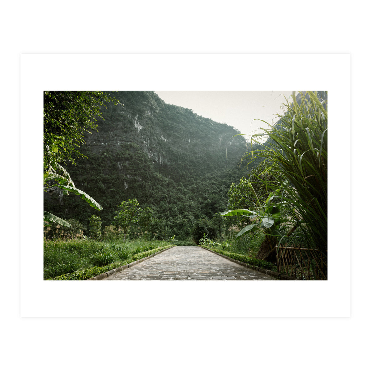 Greenscape (Print Only)