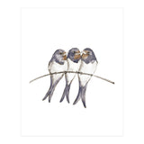 Three young swallows (Print Only) thumbnail