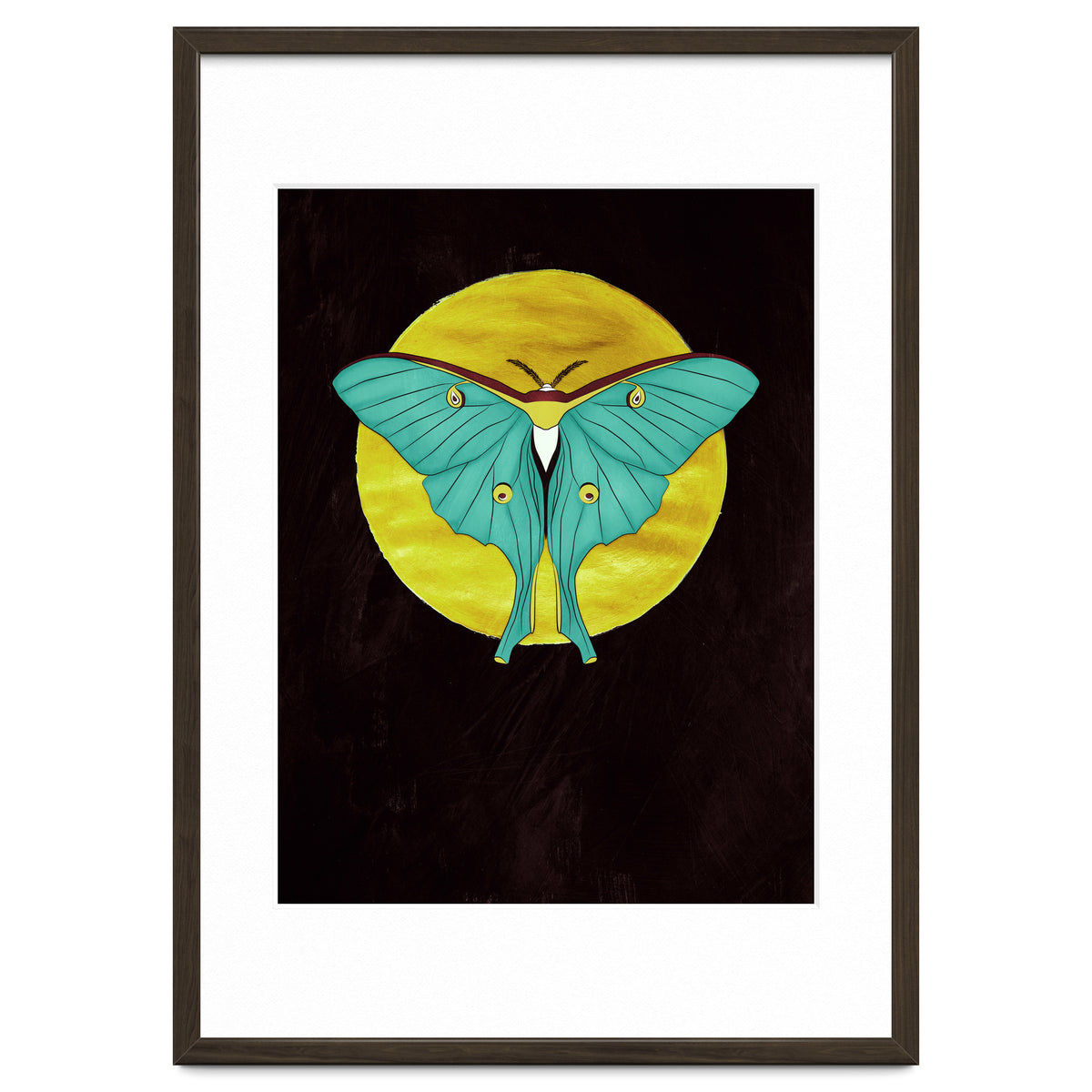 Luna Moth Moon