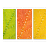Autumn Leaves (Print Only) thumbnail