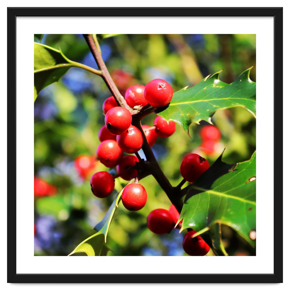 Fab454 Da 548 B 4252 8566 Cb9 Ccef07 Bda