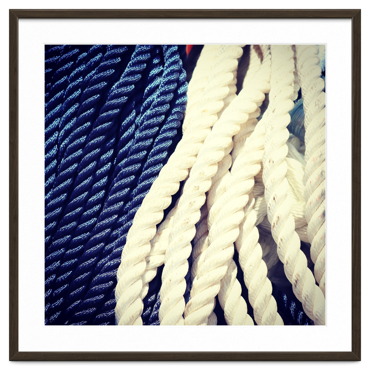 Blue and white fishing rope