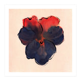 Blue Pansy (Print Only) thumbnail
