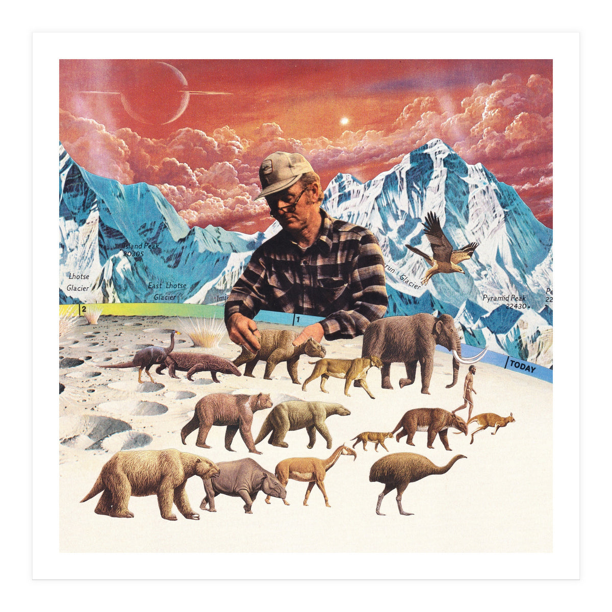 Evolution (Print Only)