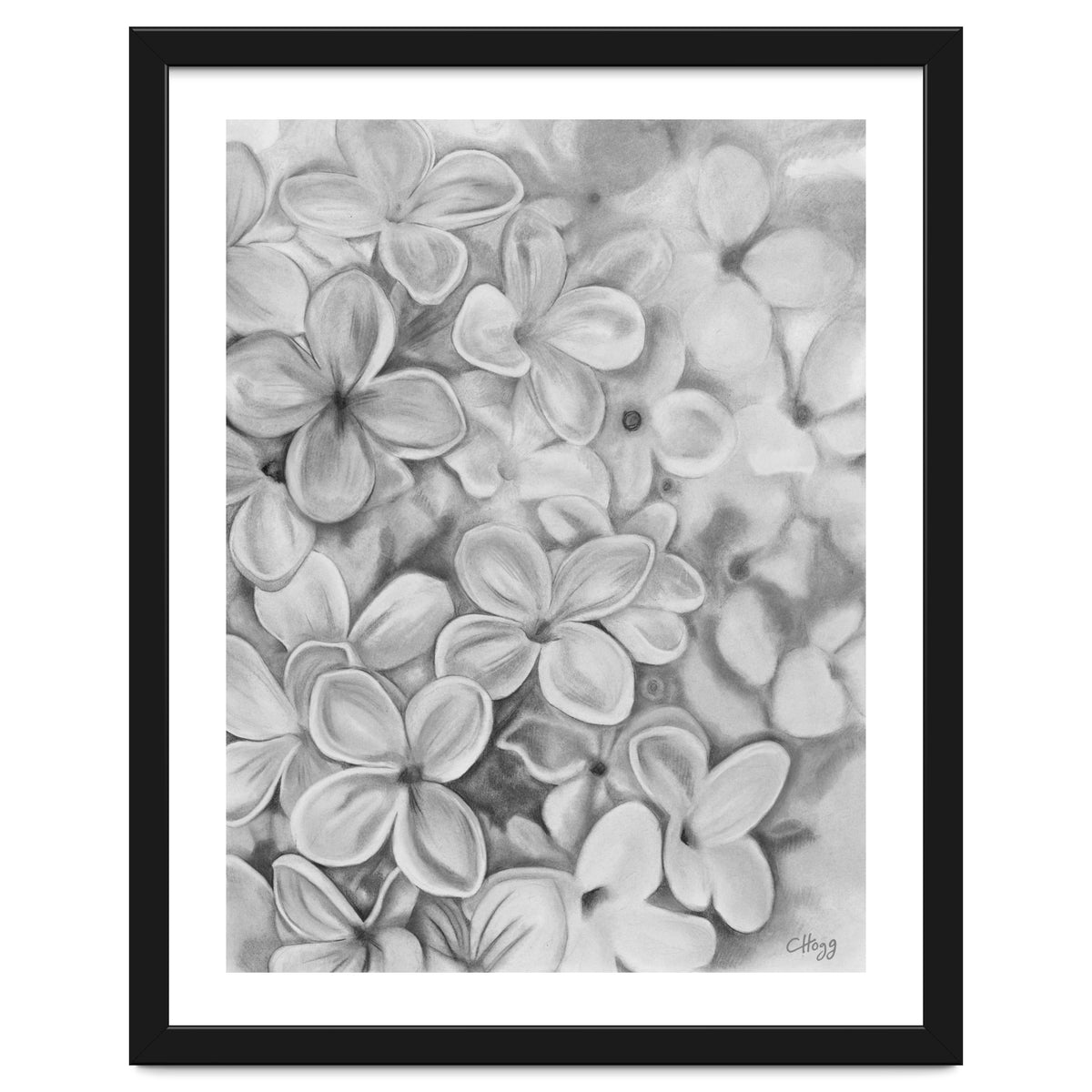 The Essence Of Spring in Monochrome