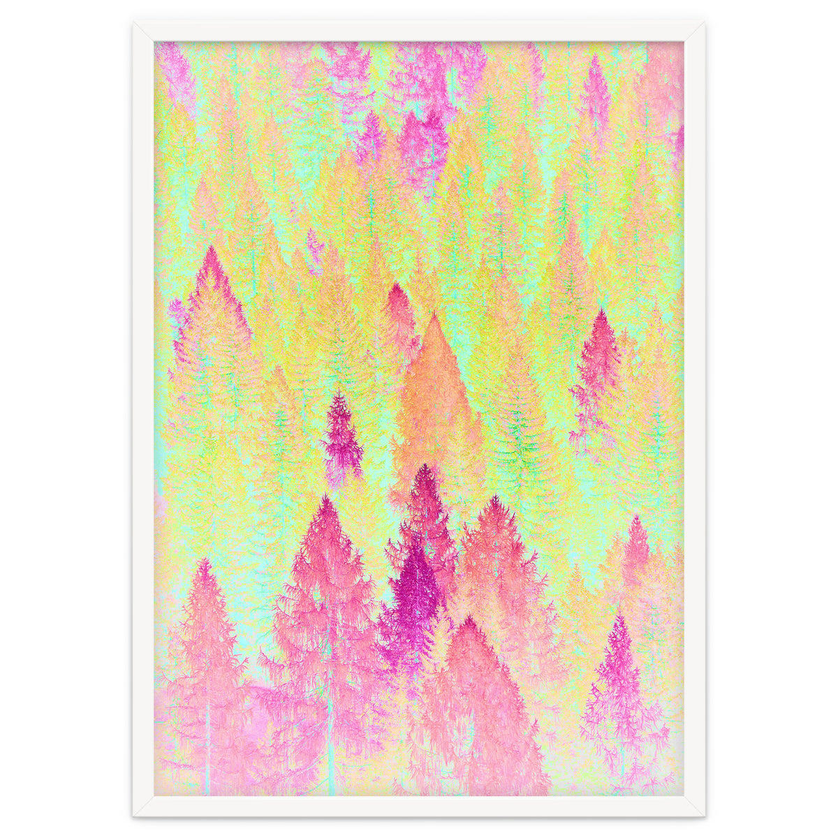 Painted Forest