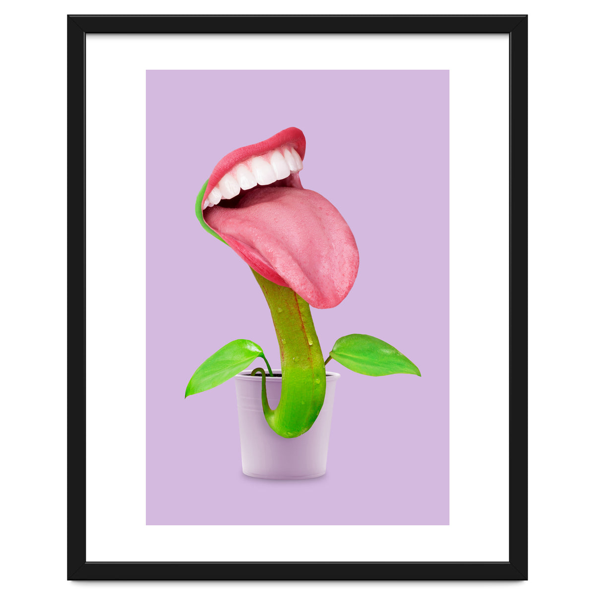 Carnivorous Plant