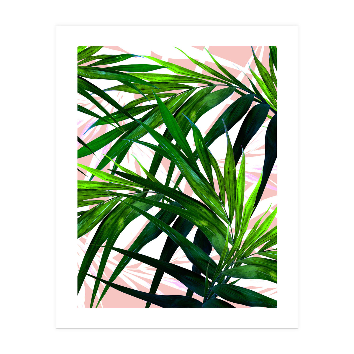 Dream paradise  (Print Only)