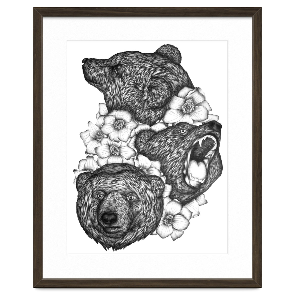 Bears In Bears