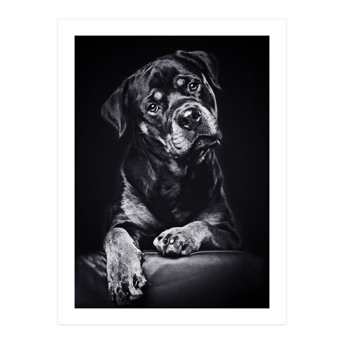 Black Dog (Print Only)
