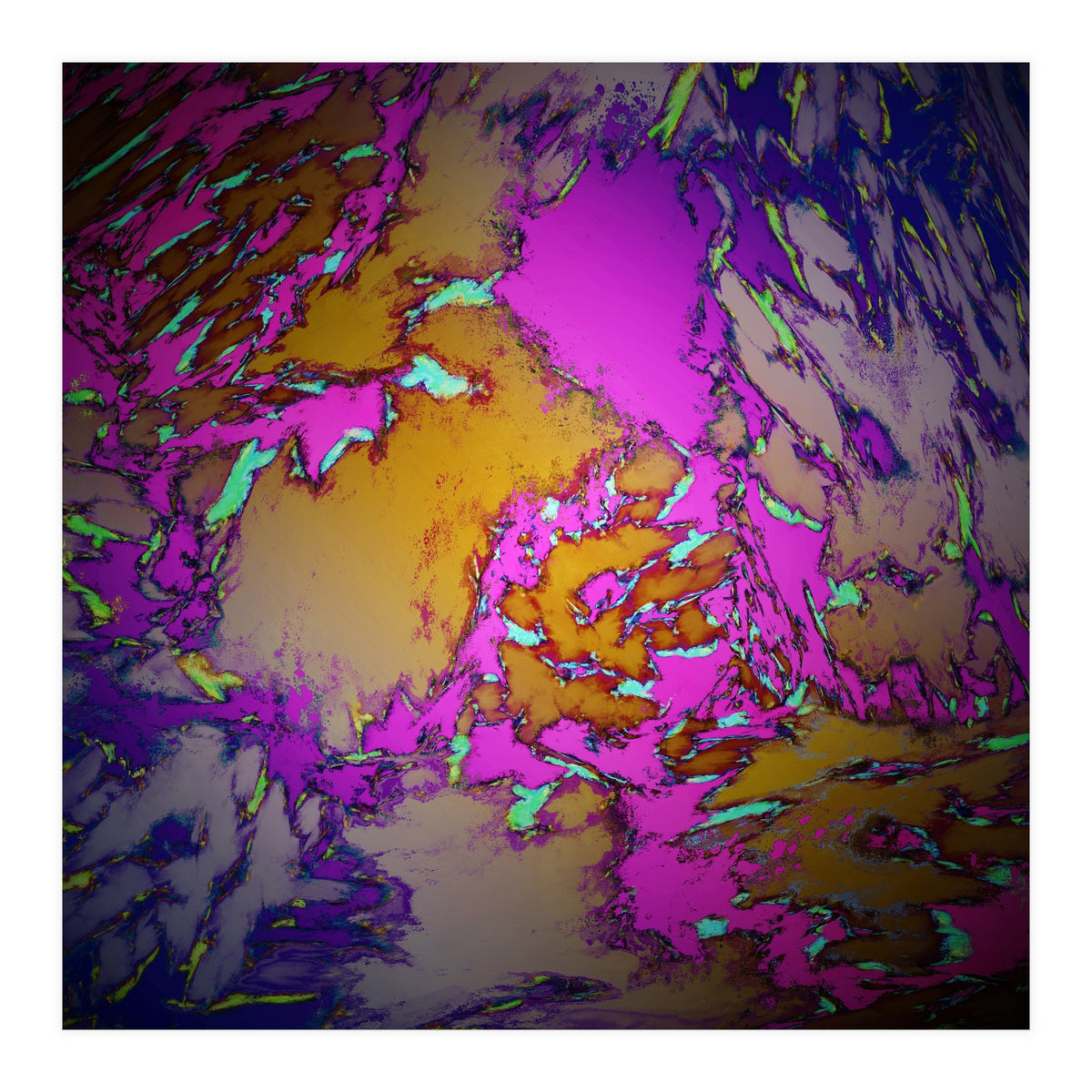 Evening Gardens 2 (Print Only)