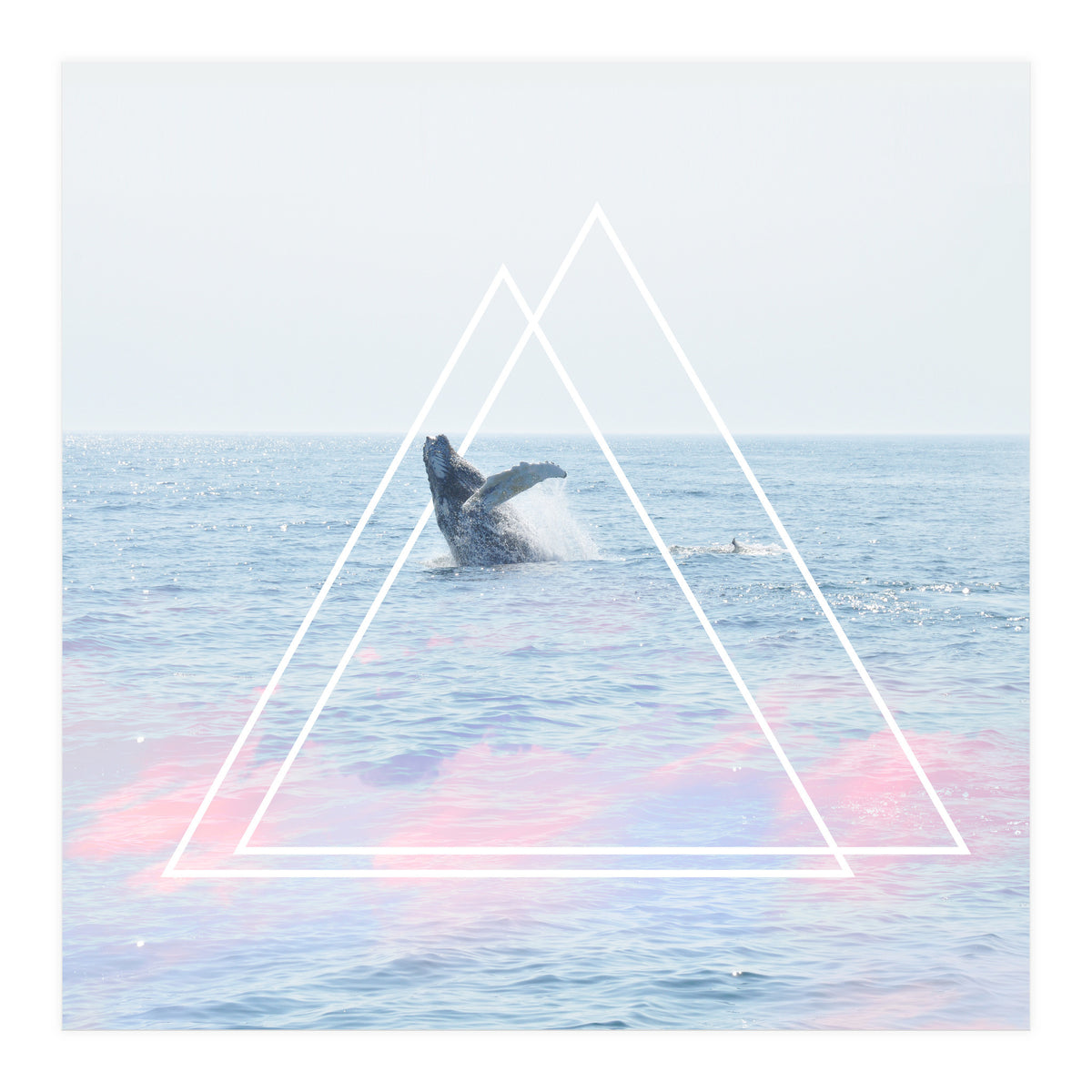 Whale of a Time (Print Only)