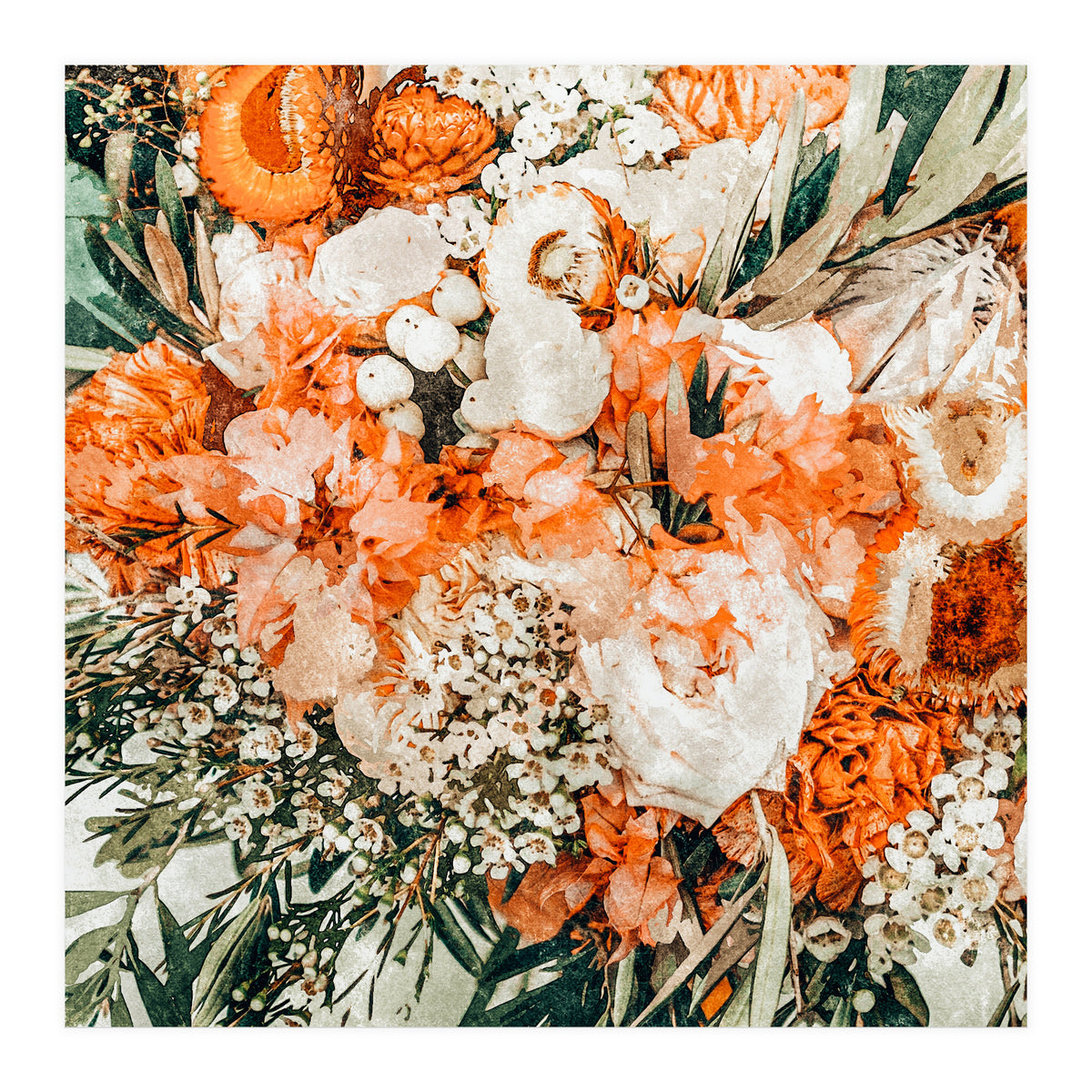 Celeste (Print Only)