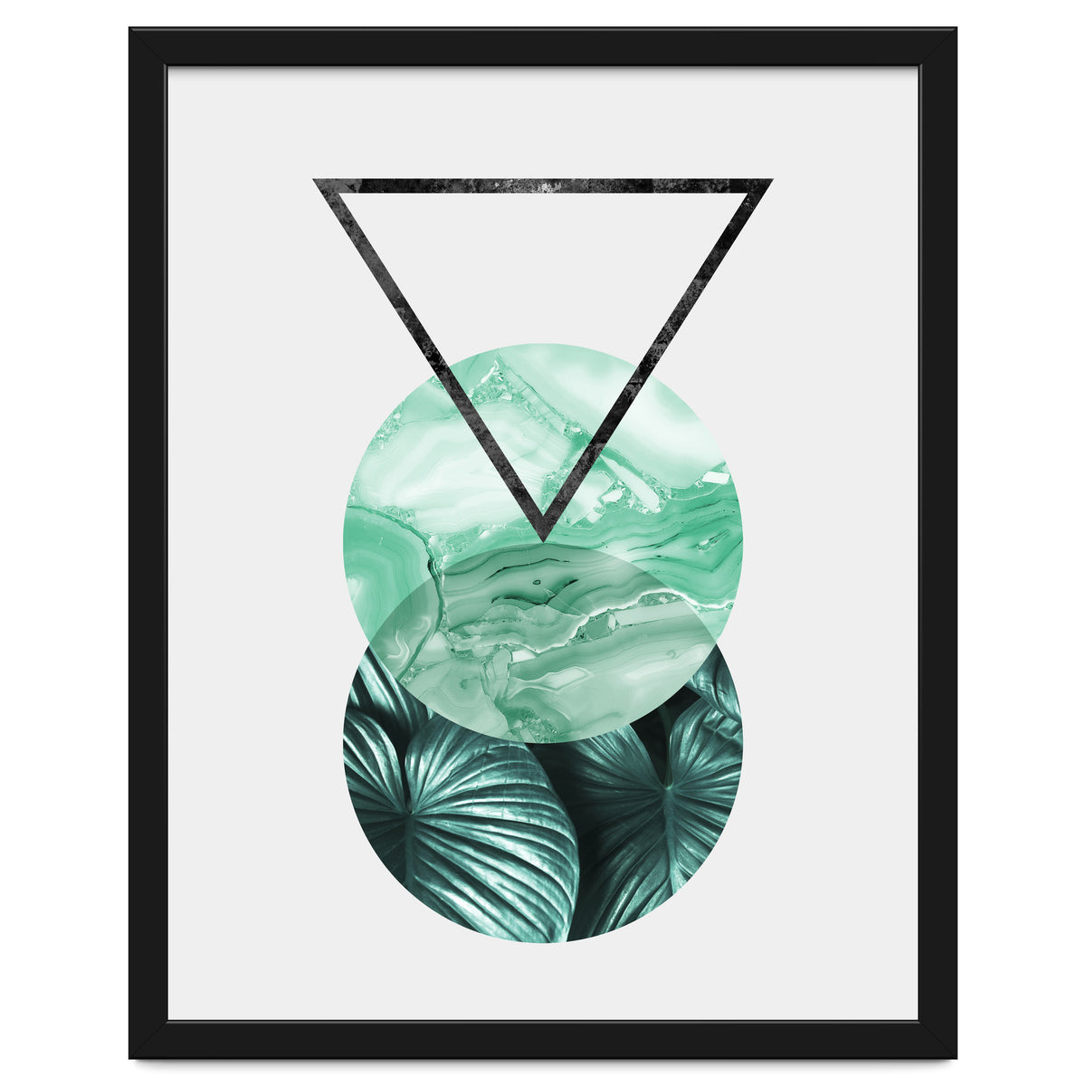 Botanical and geometric II