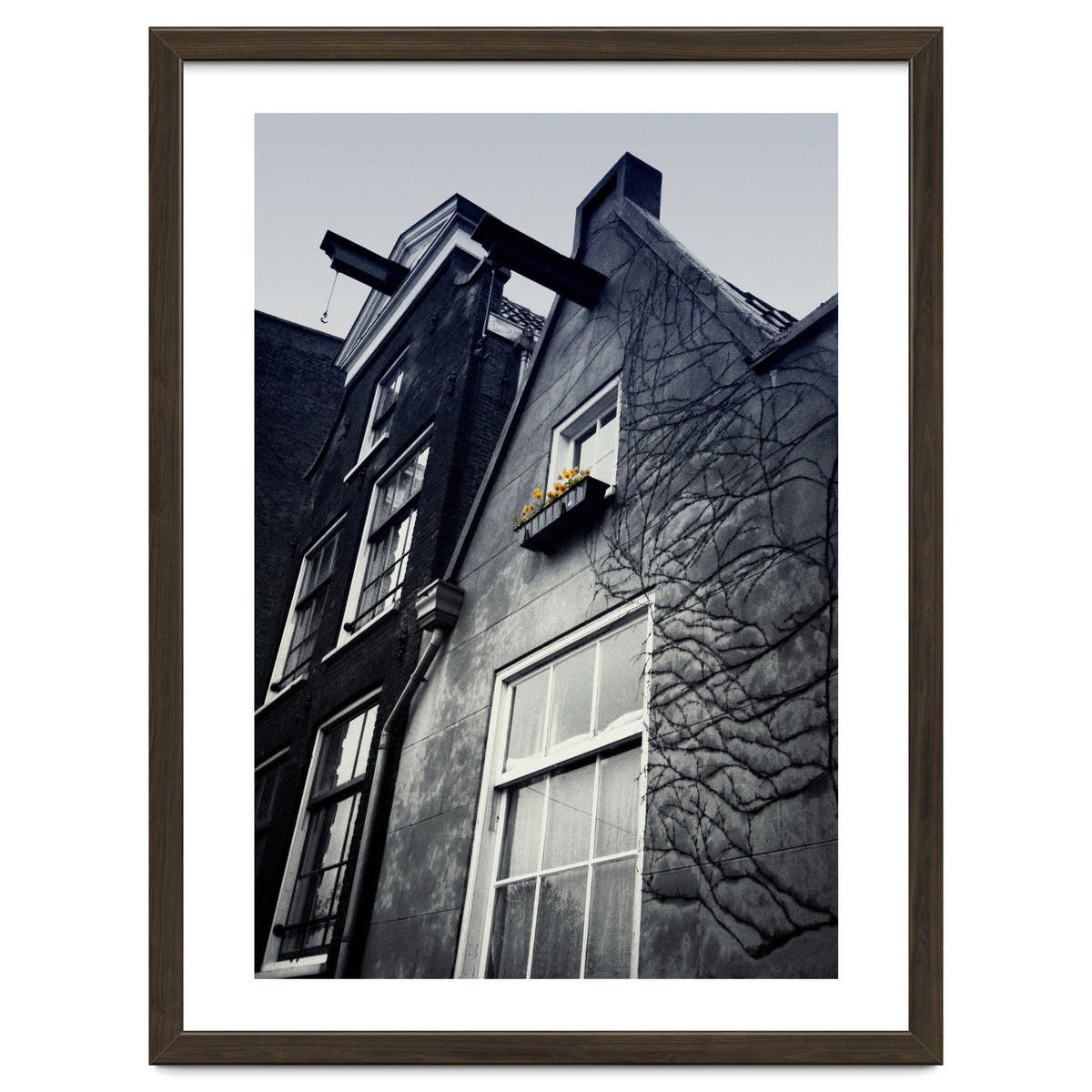 Amsterdam. House With Yellow Flowers.